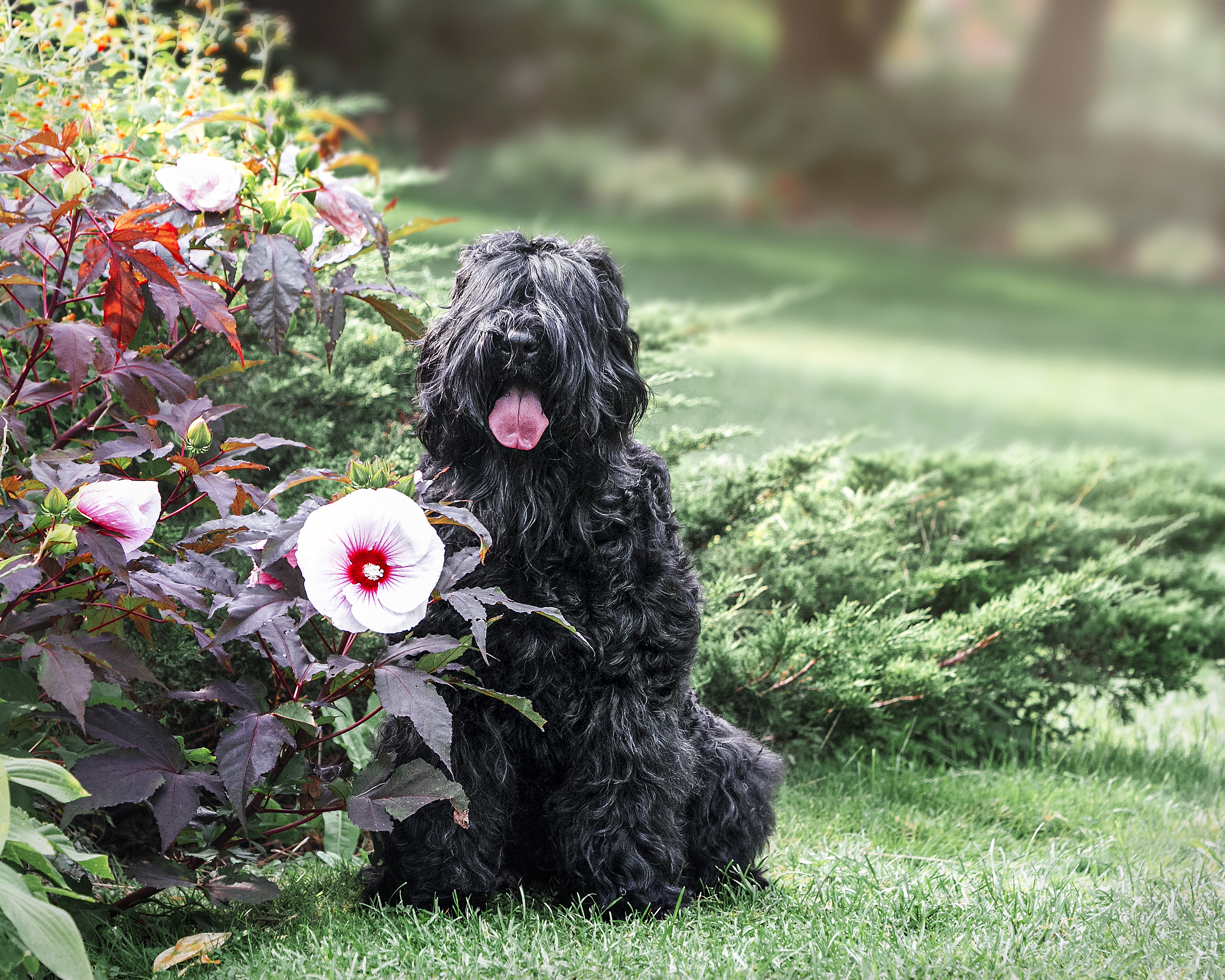 Slideshow sample 7